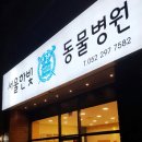 서울한빛동물병원 이미지