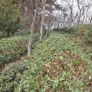 태인농장3 이미지