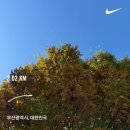 장산극장 | 대충 연말부터 오늘까지의 일상글