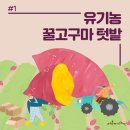 정촌유기농원 이미지