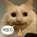 지니씨필름 | 상하이여행2✈️와이탄•동방명주 야경🌝/호텔 출장 메이크업💝/상하이 스냅🌟/완전 추천하는 재즈바🎺/사계...
