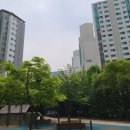 일산종로동물병원 이미지