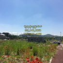 파주탄현경기-파주-탄현2 이미지