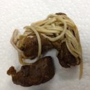 츄츄 동물병원 이미지