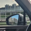 두류동물병원 | [블챌] 천고마비의 계절 _ 지방이 무르익는 나의 가을 일상