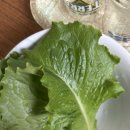 자연속애알콩달콩 이미지