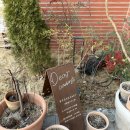 컴퍼스트 이미지