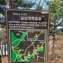 남산근린공원 테니스장 이미지