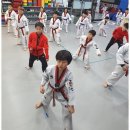 아리랑태권도 이미지