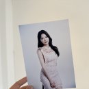 단미사진관 이미지