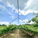 솔라공인중개사사무소 이미지