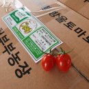 산아래토마토 이미지