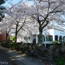 장전리마을회관 이미지