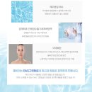 셀비아 네이버블로그