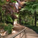 남동문화근린공원 | 미추홀도서관 가는 길 숲속의 미스터리한 울음소리?! 📚 (feat. 남동문화근린공원)