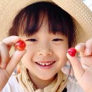 횡성족발 이미지