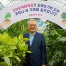 해태플라워
