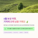 율포부분정비 네이버블로그