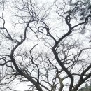 명산가든 이미지