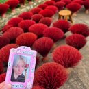 Hello, Sapa! ⛰️ (2/5) 베트남을 탐험해 봅시다! 🇻🇳 이미지