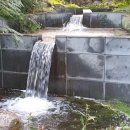 한방생태숲 이미지