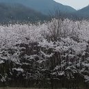 가산산성야영장 이미지