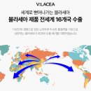 (주)비비코리아 | 극손상 헤어에센스 추천 아르간 헤어오일 블라세아 아르간오일 에센스 사용후기