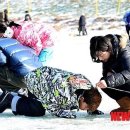 송어축제 이미지