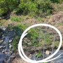 포우농장 이미지