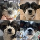 무지개가 피어나는 | 무지개다리를 건넌 반려견 시츄 닮은 리얼 강아지 인형 아트돌 주문 제작｜펫로스 극복 위로 선물