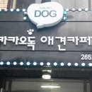 애견#(샾) 이미지