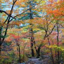 백담산장 이미지