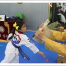 용인대 한얼 태권도 이미지