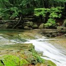 곡성-175 이미지