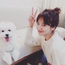 뭉실뭉실 이미지