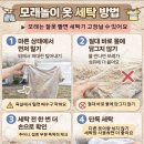 대안세탁 | 🇺🇸 미국엔 왜 모래놀이터가 없을까? 집에 모래 사서 놀아본 솔직 후기 + 모래 관리 &amp; 세탁법