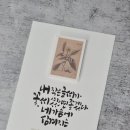 디자인 푸름