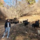 산너미목장 이미지