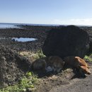 토산2리 이미지