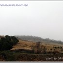 고군면 오일시장 이미지