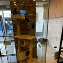 호담동물병원 이미지