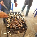 인천대공원 야영장 이미지