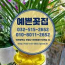 주부토로172번길 이미지