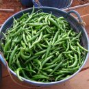 세중농장 이미지