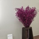 동백살롱 이미지