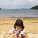 황포해수욕장 Daum카페
