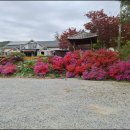 연주펜션 | 겨울에도 힐링 가득, 하늘나리펜션에서 즐긴 특별한 체험 여행 후기