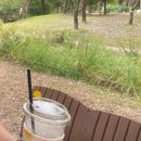 (주)코지그라운드 이미지