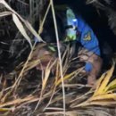 연락수로 이미지