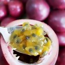 혜림농장 이미지